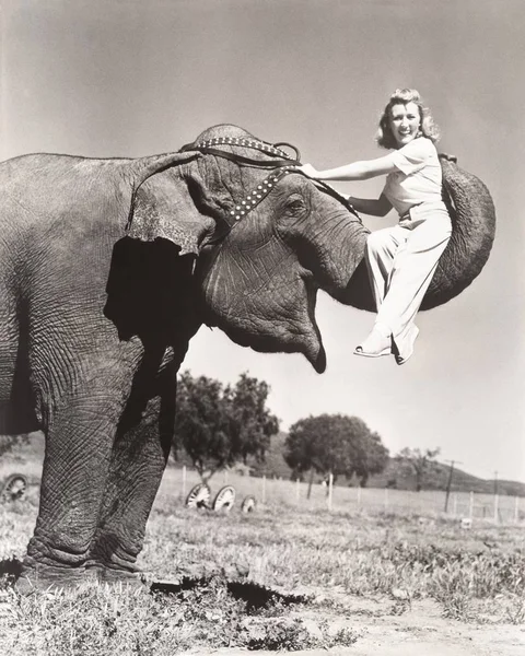 Kvinnan sitter på elefantens snabel — Stockfoto