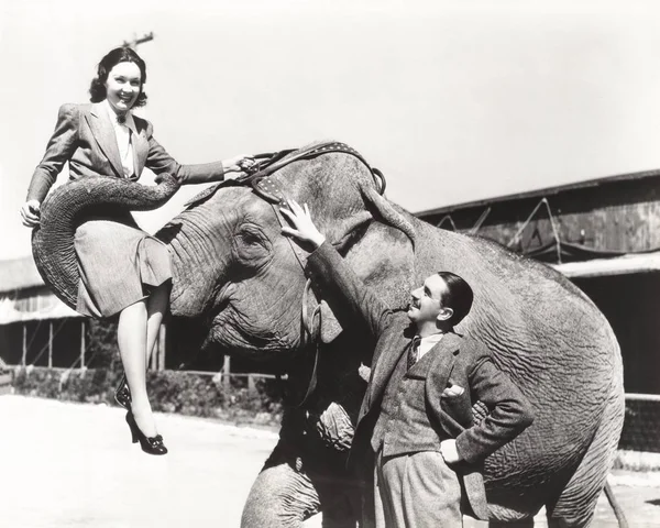 Женщину поднял слон — стоковое фото