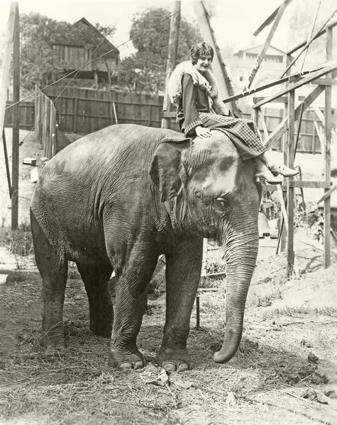 Aklındaki biriyle fil