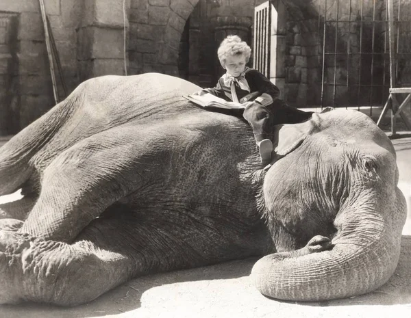 Chico leyendo un libro sobre elefante —  Fotos de Stock