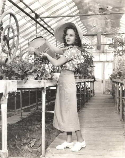 Žena zalévání rostlin ve skleníku — Stock fotografie