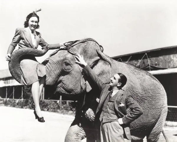 Woman lifted by elephant — Stock Photo, Image