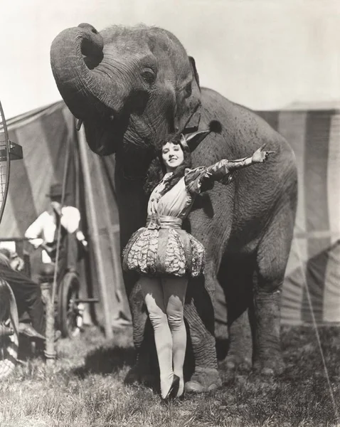 Performer poseren met olifant — Stockfoto