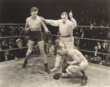 Hakem boksör sayma