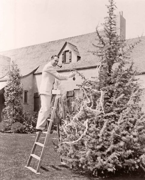 man decorating tree for Christmas