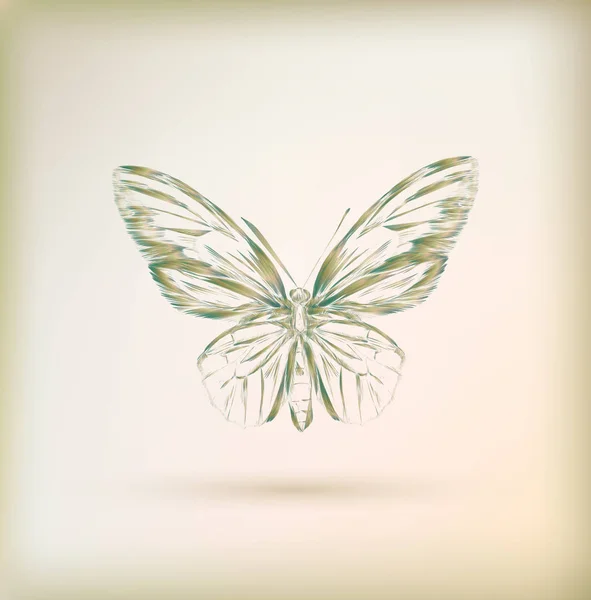 Carte de vœux floral avec papillon — Image vectorielle