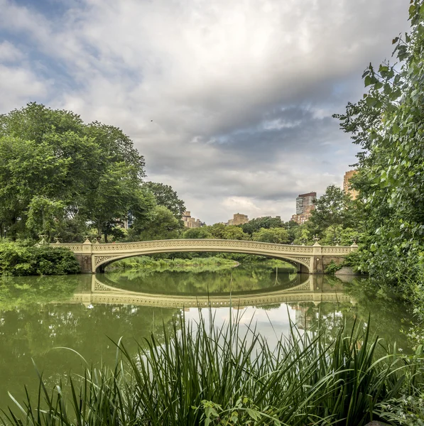 Bogenbrücke im Sommer — Stockfoto