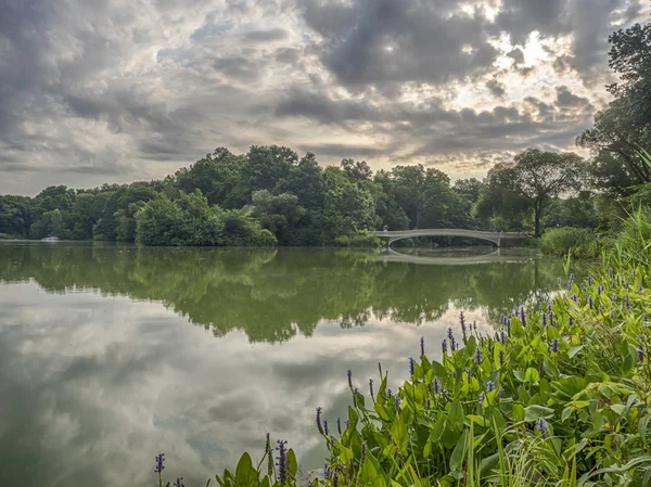 Ponte di prua in estate — Foto Stock