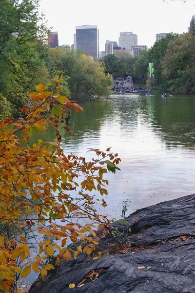 Central Park, Nueva York —  Fotos de Stock