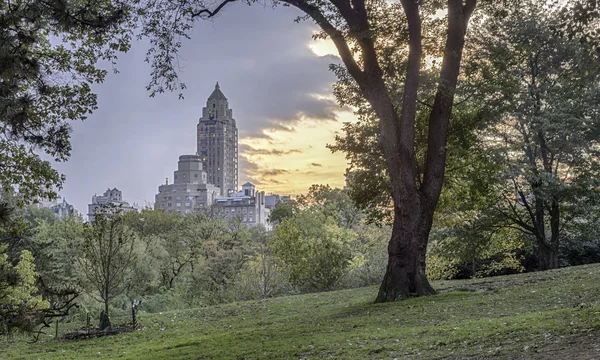 Central Park am frühen Morgen — Stockfoto