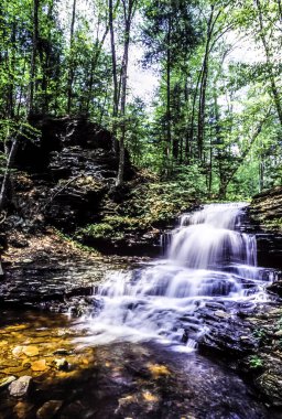 ricketts glen limanları glens doğal alanı