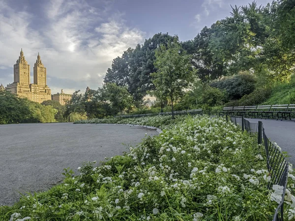 Central Park, New York City — Stockfoto