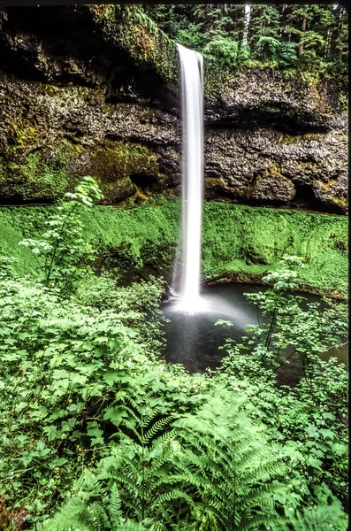 Oregon Cascade Mountains, Silver Falls State Park — Stockfoto
