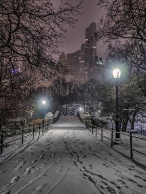 gapstow central park, new york şehrinin gece köprü