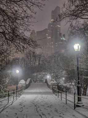 gapstow central park, new york şehrinin gece köprü