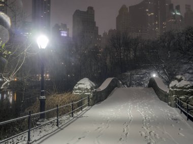 gapstow central park, new york şehrinin gece köprü