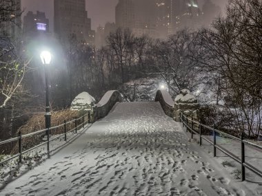gapstow central park, new york şehrinin gece köprü