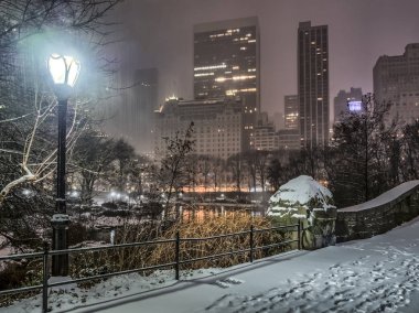 gapstow central park, new york şehrinin gece köprü