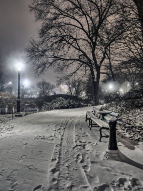 gapstow central park, new york şehrinin gece köprü