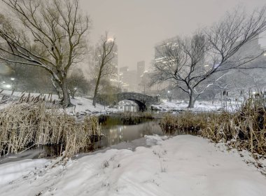 gapstow central park, new york şehrinin gece köprü