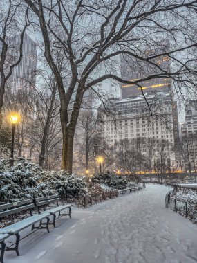 Central Park, New York City kar fırtınası