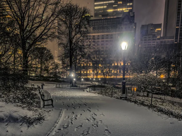 Central Park, New York City night — Stockfoto