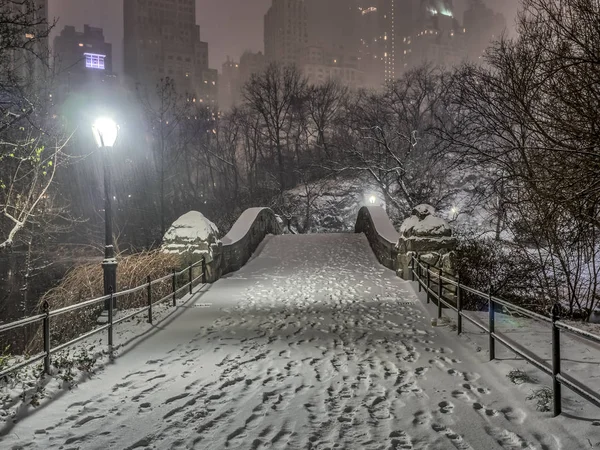 Pont Gapstow Central Park, New York la nuit — Photo