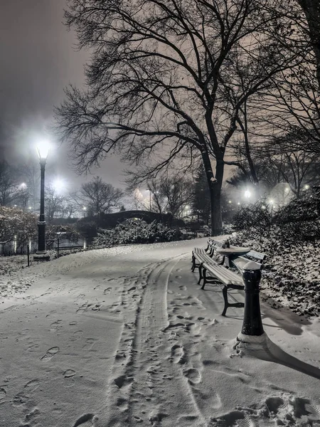 Gapstow bro central park, new york city på natten — Stockfoto