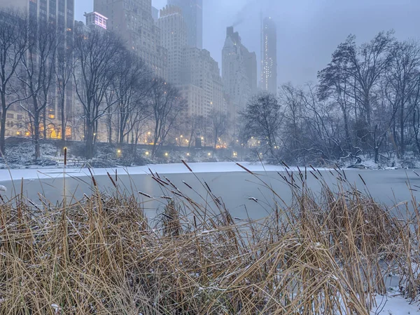 Central Park, tormenta de nieve de Nueva York — Foto de Stock