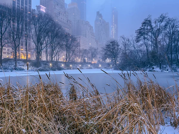 Burza śnieżna City Central Park, Nowy Jork — Zdjęcie stockowe