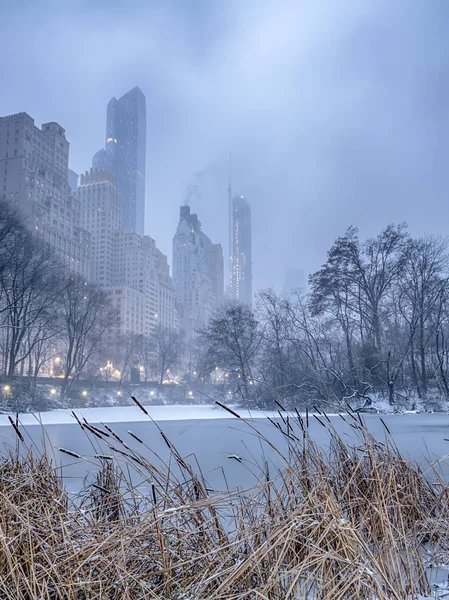 Sneeuwstorm van Central Park, New York City — Stockfoto