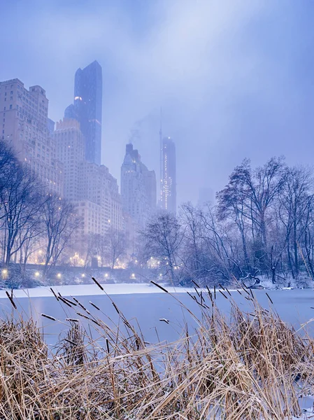 Central Park, New York City snöstorm — Stockfoto