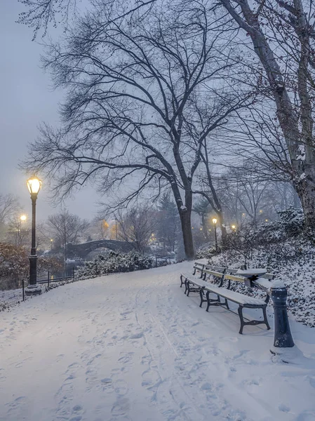 Gapstow most central park, new york city v noci — Stock fotografie