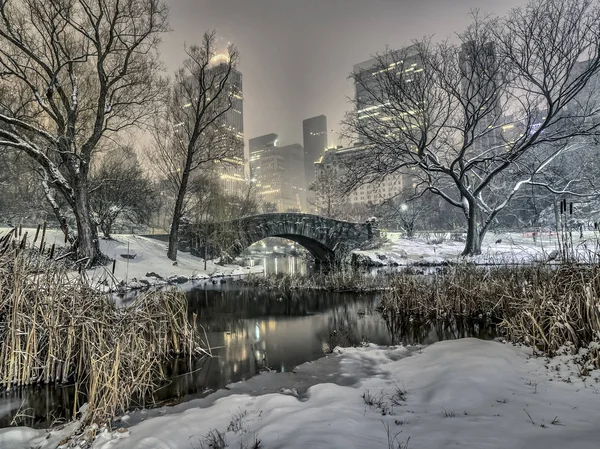 Gapstow most central park, new york city v noci — Stock fotografie