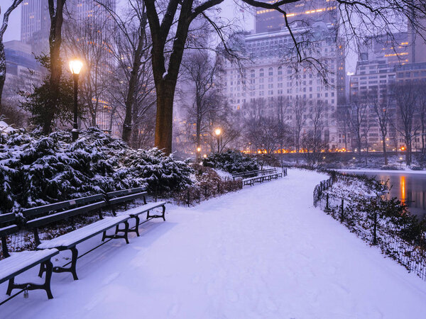Central Park, New York City early morning at sunrise in winter snow storm
