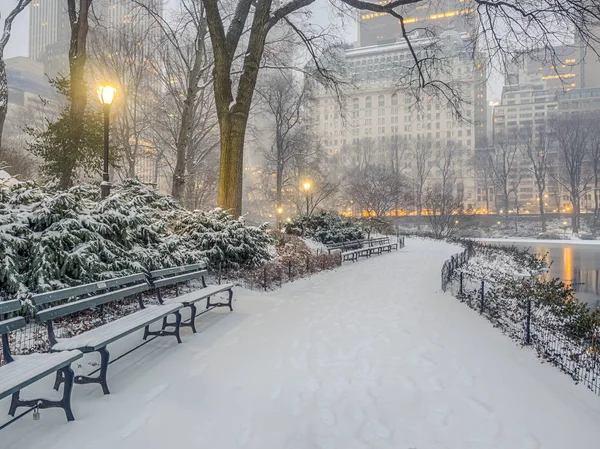 セントラル ・ パーク、ニューヨーク市の雪の嵐 — ストック写真