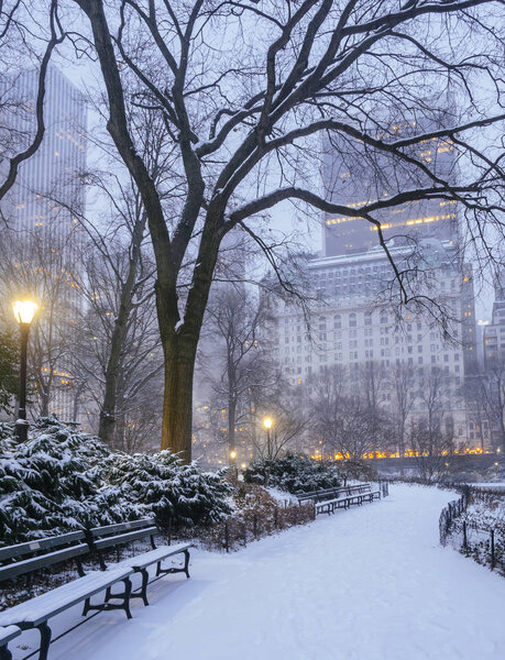 Central Park, New York City early morning at sunrise in winter snow storm