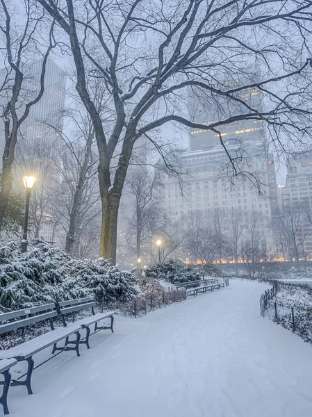 Sneeuwstorm van Central Park, New York City — Stockfoto