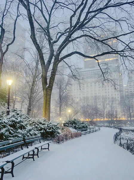 Central Park, New York City snöstorm — Stockfoto