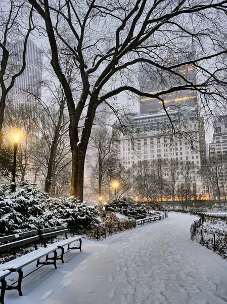 纽约中央公园，市雪风暴 — 图库照片