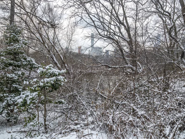 雪灾过后在湖边 — 图库照片