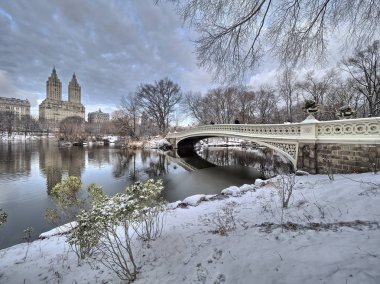 Yay köprü Central Park yay köprüden sonra kar fırtınası