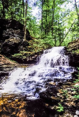 ricketts glen limanları glens doğal alanı