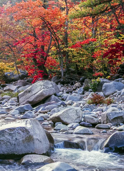 Swift flod i efteråret Hvide Bjerge, New Hampshire - Stock-foto