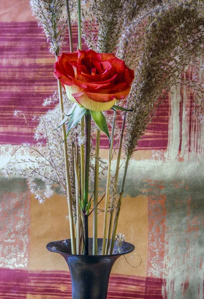 Still life of rose — Stock Photo, Image