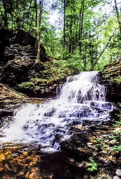 Ricketts Glen Harbors Glens Natural Area — Photo