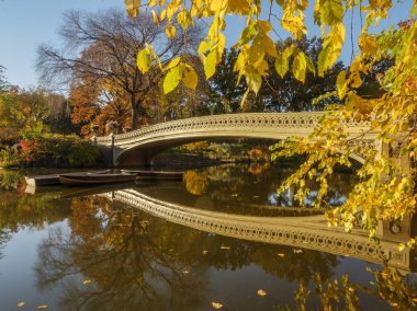 yay köprü Merkez Parkı