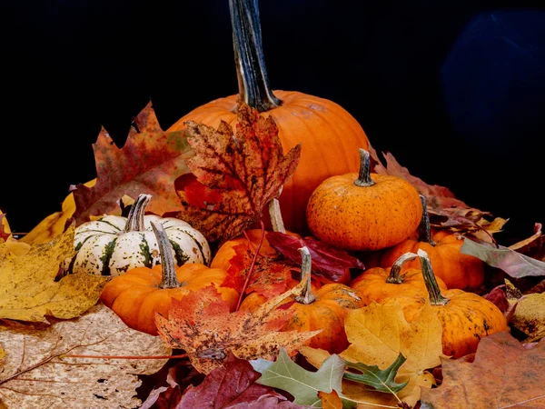 Bodegón de otoño — Foto de Stock