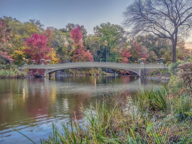 Köprü Central Park sonbaharda yay