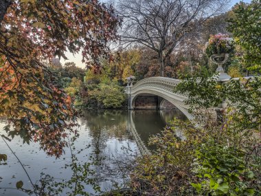 Köprü Central Park sonbaharda yay